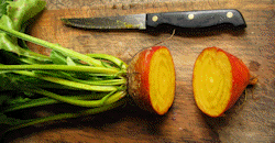 ‘Golden Detroit’ Yellow Beetroot