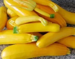'Burpees Golden Zucchini'