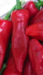 Red Basque Chilli