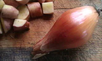 Zebrune Shallot