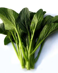 "70 Days Improved" Mid-season Choy Sum