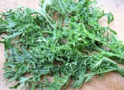 'Golden Frills' salad mustard-kale