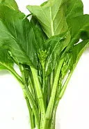 'Tsoi Sim' Japanese Flowering Shoots & Leaves