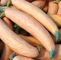 North Georgia Candy Roaster