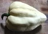 Thelma Sanders Sweet Potato Squash.