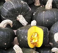 Burgess Vine Buttercup