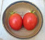 Grushovka (Early Pink)