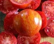 Red Zebra Tall Vine Tomato